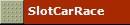SlotCarRace